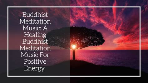 Buddhist Meditation Music: A Healing Buddhist Meditation Music For Positive Energy 🌺 - YouTube