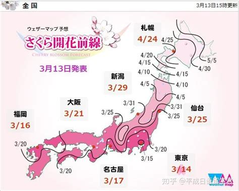 2023日本樱花开花满花时间预测 - 知乎