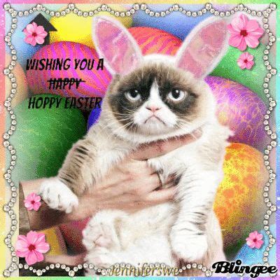 Grumpy Cat Bunny bunny grumpy cat easter quotes easter images happy easter easter gifs happy ...