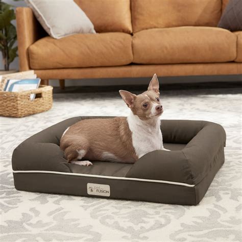 Puppy Beds | The Best Puppy Beds for Pups to Take a Snooze