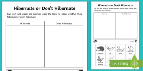 Hibernation | Animals in Winter Worksheet (teacher made)