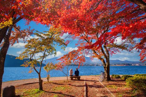 Fall Foliage in Japan: Where to Go, What to Do, the Weather & More ...