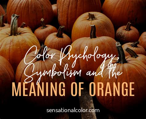 Meaning Of Orange: Color Psychology And Symbolism