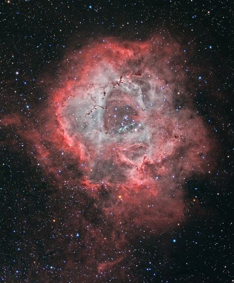 APOD: 2019 April 12 - A Cosmic Rose: The Rosette Nebula in Monoceros