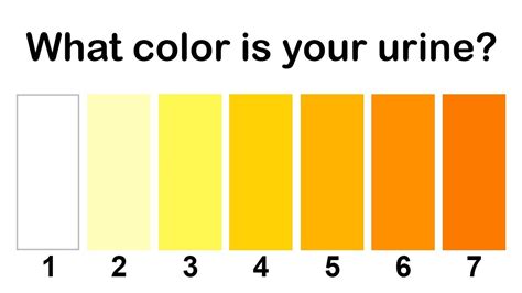 Abnormal Urine Color Chart