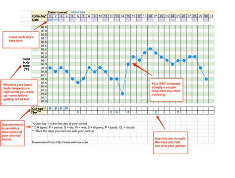 Basal Temperature Chart When Pregnant