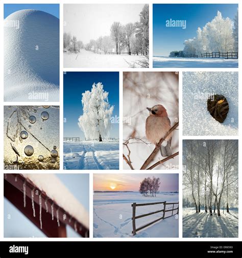 Winter collage representing various season-related nature scenics Stock Photo - Alamy