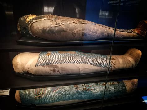 Mummies in museum : r/EgyptianMythology