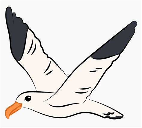 Flying Seagull Clipart - Flying Seagull Clip Art, HD Png Download - kindpng