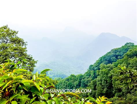 Hiking Mount Qingcheng - Chengdu, China — Sian Victoria.