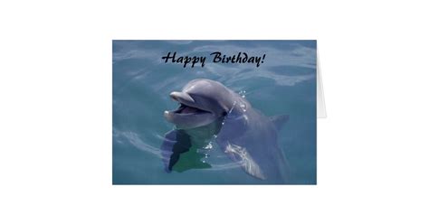 Smiling Dolphin Happy Birthday! Card | Zazzle.com