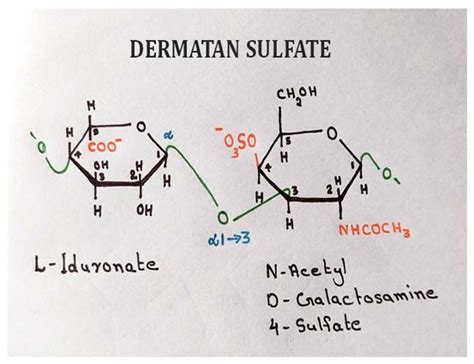 GAGS Biochemistry (Structure & Functions) | EasyBiologyClass