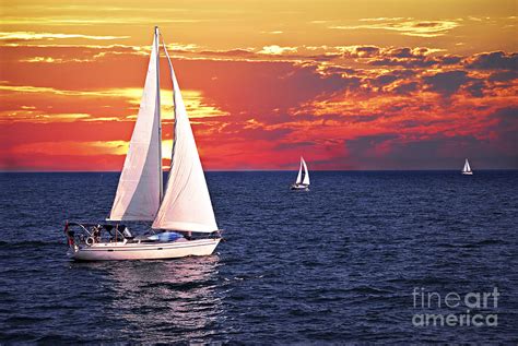 Sailboats At Sunset Photograph by Elena Elisseeva