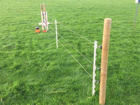 Pics: Cost-effective temporary sheep fencing options on show - Agriland