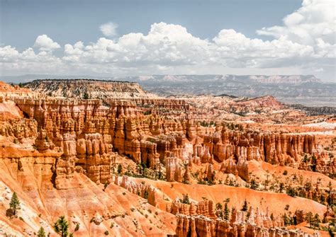 Bryce Canyon - hoodoos and tiny creatures - SarahintheGreen