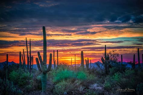 Tucson Sunset Wallpapers - 4k, HD Tucson Sunset Backgrounds on WallpaperBat