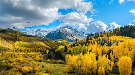 8932x2932 Yellow Forest Landscape 4k Mountains 8932x2932 Resolution ...