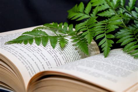 books and plants • Haverford Township Free Library