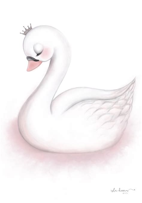 How To Draw A Baby Swan