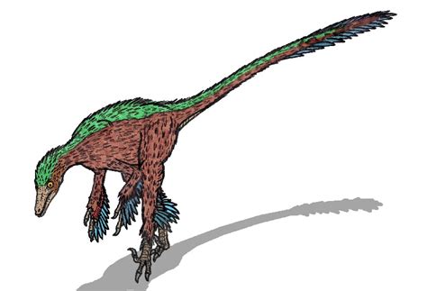 Troodon Pictures & Facts - The Dinosaur Database