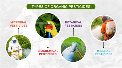 Types Of Pesticides Used In Farming – Importance And Benefits