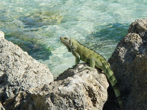 10 Best National Parks in France - Adventure, Thrill and Nature!