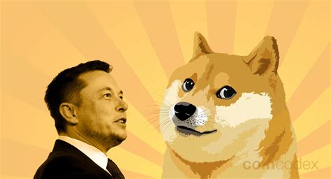 Elon Musk & Dogecoin — DOGE Is Elon's Favorite Crypto | CoinCodex