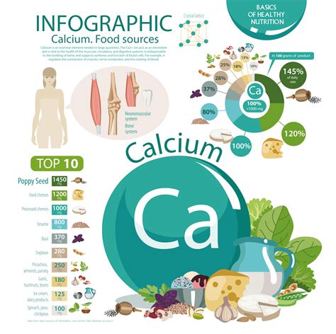 The Function of Calcium – What You Need to Know About the Other 1% – EffiHealth