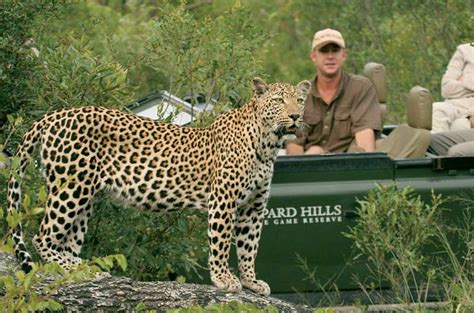 Leopard Hills Private Game Reserve - Kruger Park Safari Reservations - Kruger National Park ...