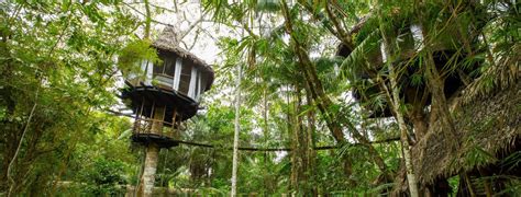 Treehouse Lodge, Peru Amazon | Itineraries & Prices 2024/25 ...