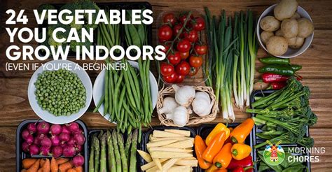 24 Newbie-Friendly Vegetables You Can Easily Grow Indoors