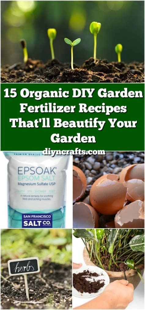 15 DIY Organic Fertilizer Recipes for Your Garden | Garden fertilizer ...