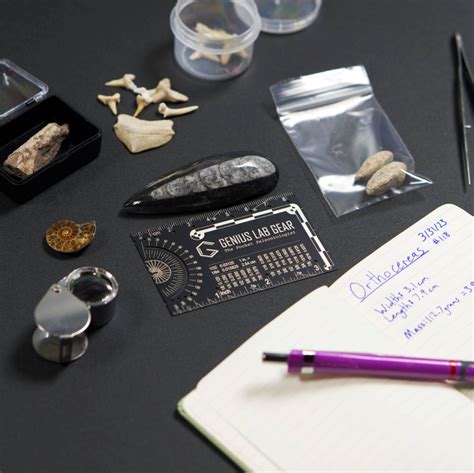 The Pocket Paleontologist - Fossil hunting pocket tool - Genius Lab Gear