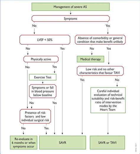 Timing of intervention in aortic stenosis: a review of current and ...