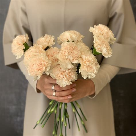 Carnation Bouquet