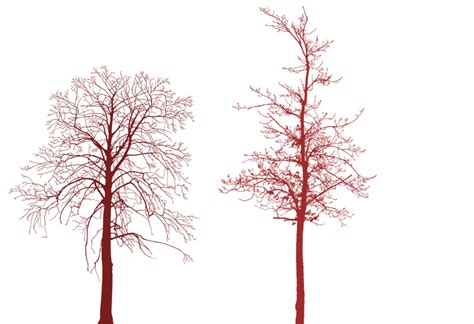 Hi Res Trees Photoshop Brushes by cyberxtremer on DeviantArt