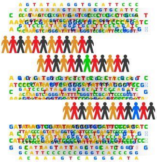 1,092 genomes and counting | Broad Institute of MIT and Harvard | Human genome, Genetic ...