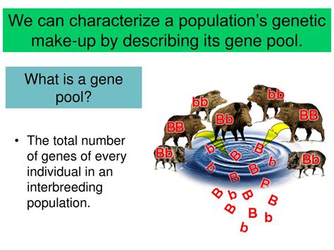 PPT - What is Evolution? PowerPoint Presentation, free download - ID:1748139