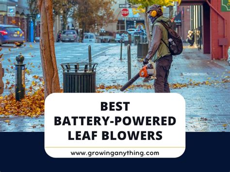 Top 15 Best Battery-Powered Leaf Blowers To Buy 2024