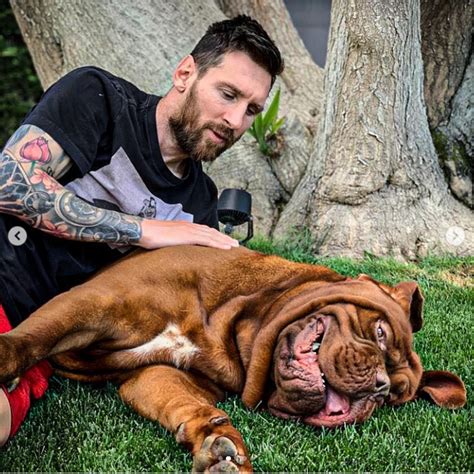 Lionel Messi's dog serenaded by joyous Argentina fans after Paris Saint ...