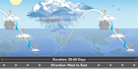 A new method to improve simulations of the Madden-Julian Oscillation - Climate Program Office