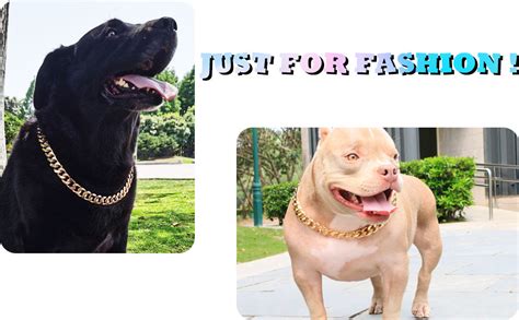 Amazon.com : PP COLOR Gold Chain Dog Collar-3/4 Width Cuban Link Dog Necklace, Cute Fashion Pet ...