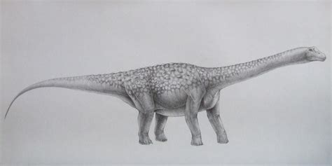 Bruhathkayosaurus Pictures & Facts - The Dinosaur Database