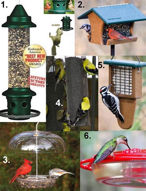 Wild Birds Unlimited has best birdfeeders