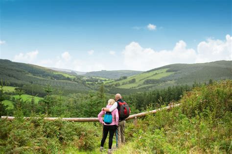 Space to Explore in the Slieve Bloom Mountains - Visit Offaly