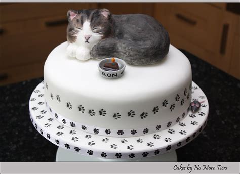 Sculpted cat cake with edible cat topper - a photo on Flickriver