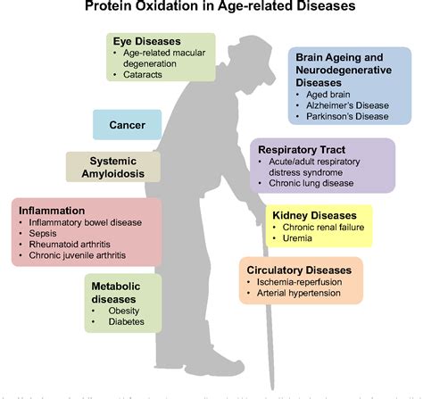 Figure 9 from Happily (n)ever after: Aging in the context of oxidative ...