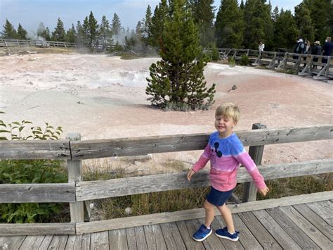 Day Five – Yellowstone Lower Loop