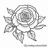 Easy Flower Coloring Pages  Free & Printable sketch template