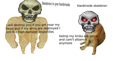 Expert Skeletron Vs Expert Skeletron Prime : r/Terraria